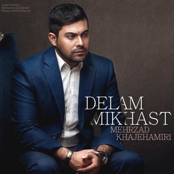 دانلود آهنگ دلم میخواست